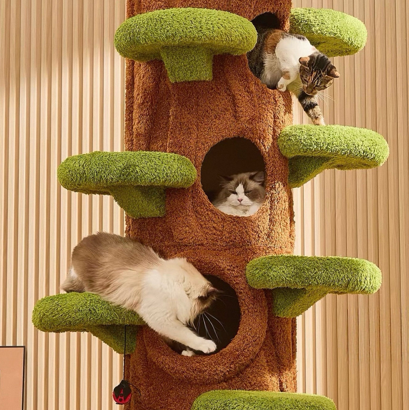 The Wonderland Cat Tree