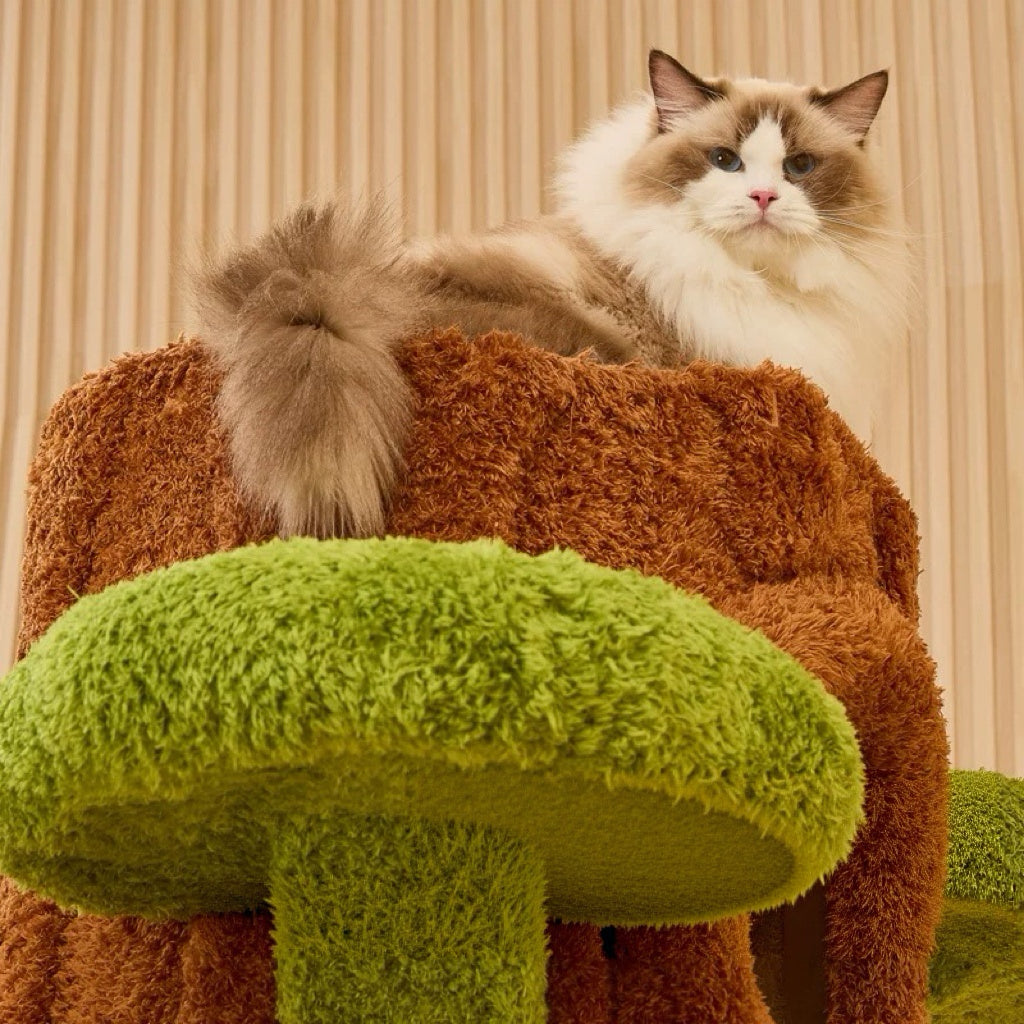 The Wonderland Cat Tree