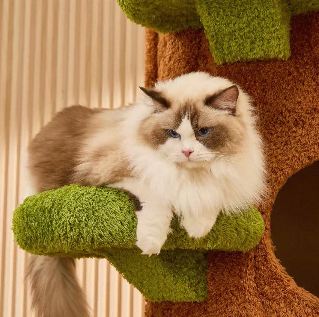 The Wonderland Cat Tree
